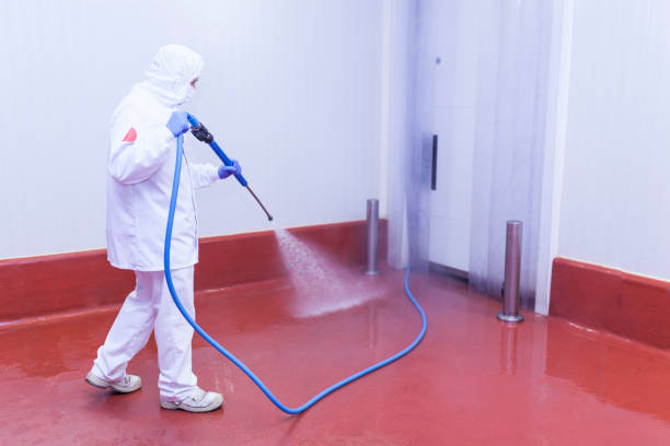 Best Graffiti Removal  in Van Horn, TX
