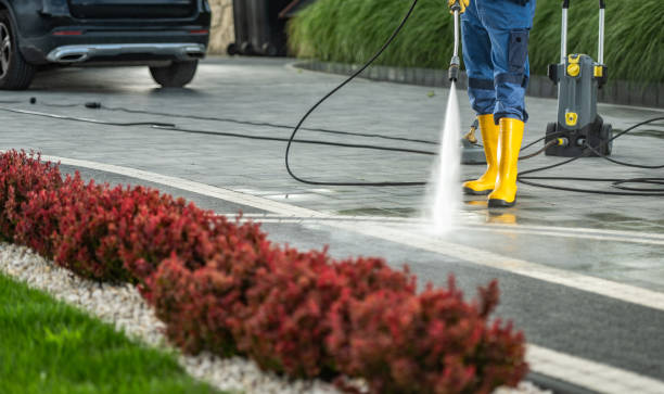 Best Solar Panel Cleaning  in Van Horn, TX